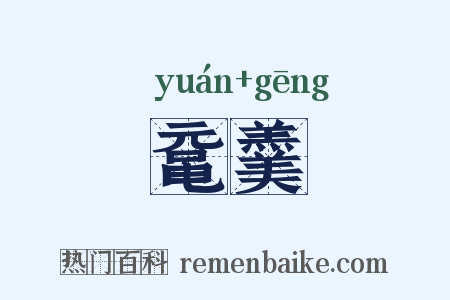 鼋羹是什么意思的图片
